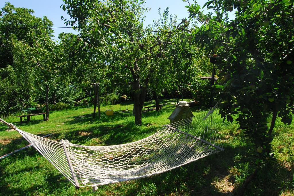 Archontiko Iatridis Hotel Mouresi Room photo