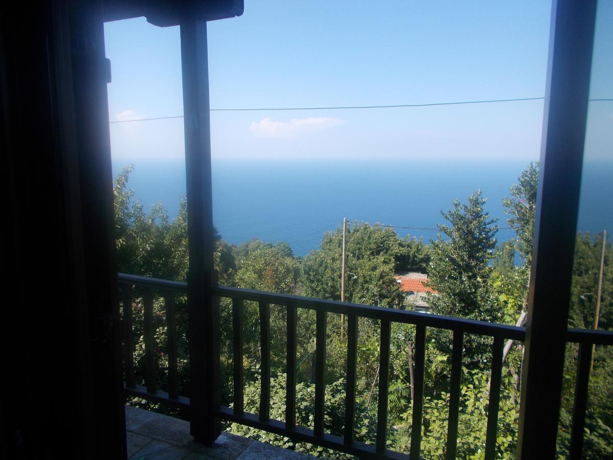 Archontiko Iatridis Hotel Mouresi Exterior photo