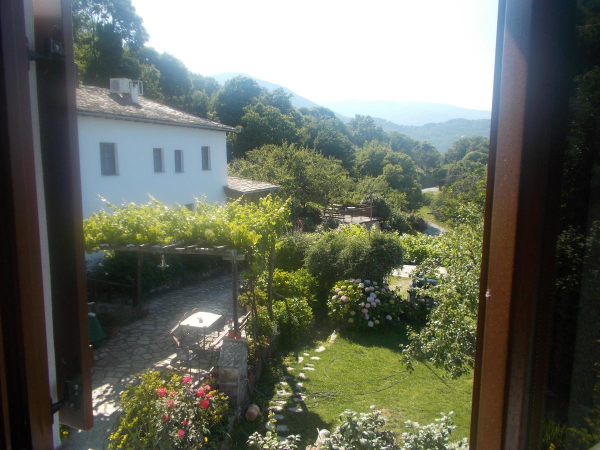 Archontiko Iatridis Hotel Mouresi Exterior photo