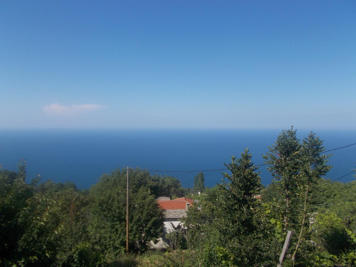 Archontiko Iatridis Hotel Mouresi Exterior photo