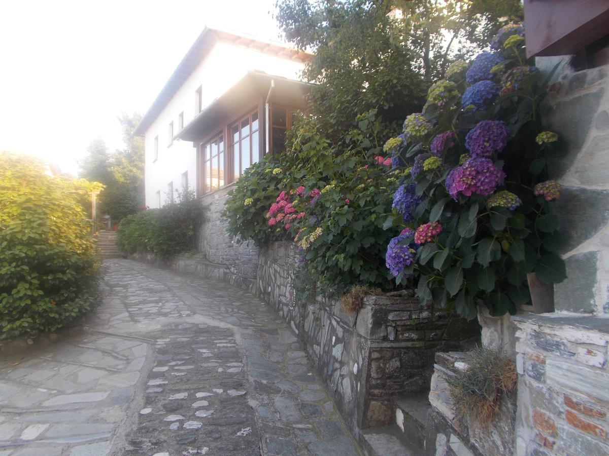 Archontiko Iatridis Hotel Mouresi Exterior photo